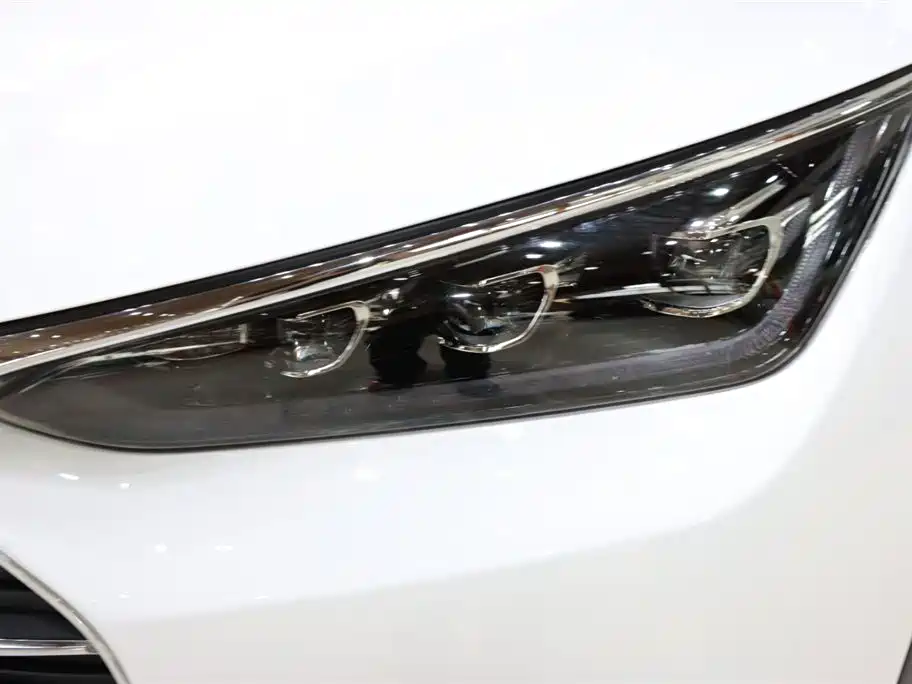 Tang 2.0 T Auto Connected Distinguished 7-seat CN-V