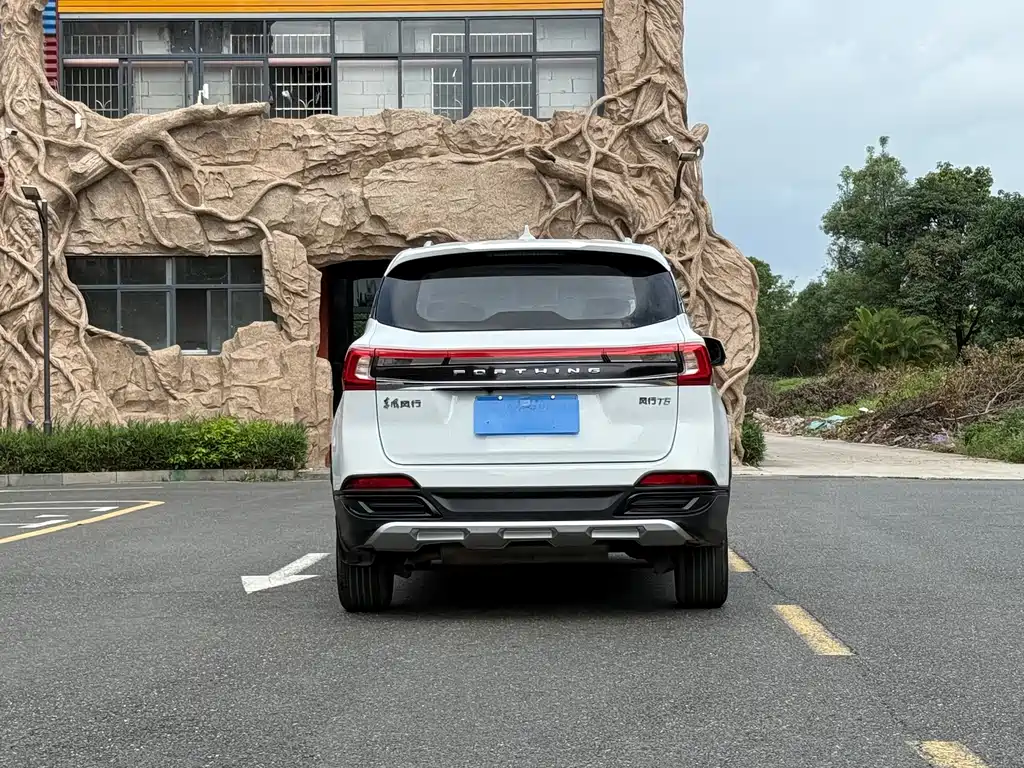 Fengxing T5 风行T5 2021款 1.6 L 手动舒适型