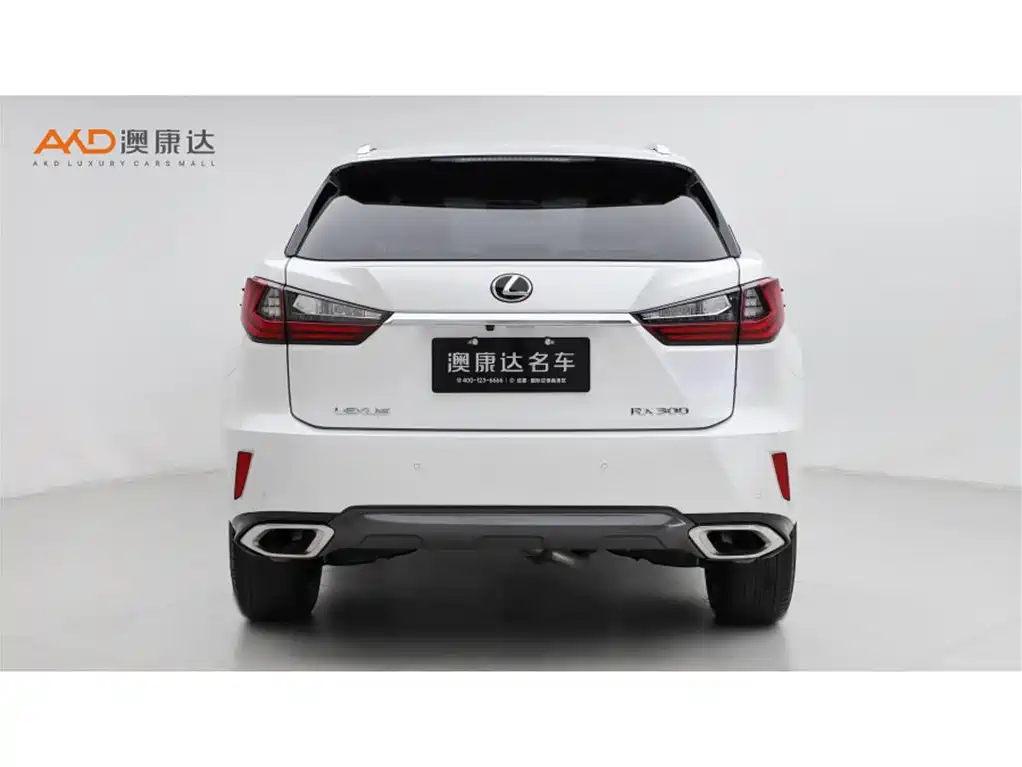 Lexus RX 雷克萨斯RX2016款 300 四驱典雅版 国VI