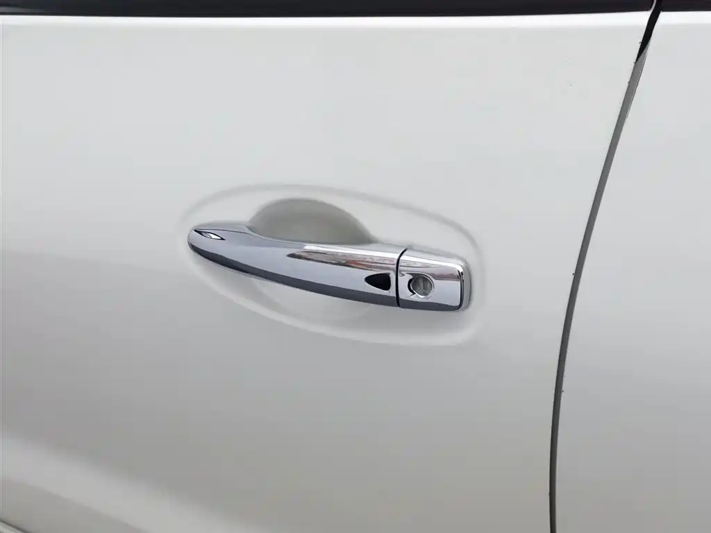 Terra 2.5 L Auto 4 WD Luxury