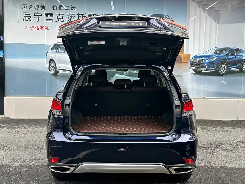Lexus RX 300 2 WD Elite CN-VI