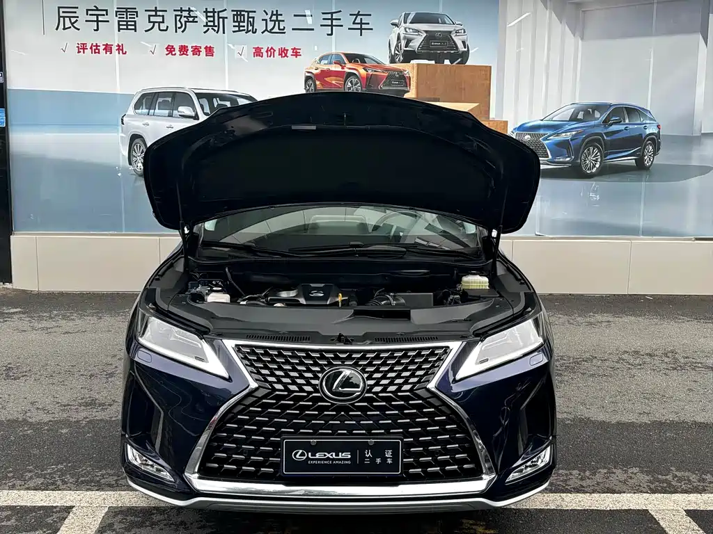 Lexus RX 300 2 WD Elite CN-VI