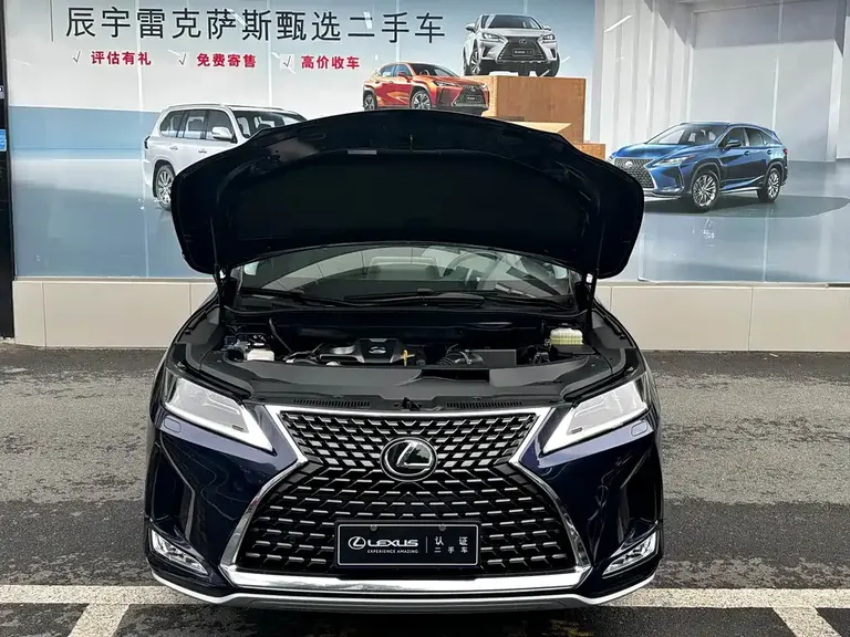 Lexus RX 300 2 WD Elite CN-VI