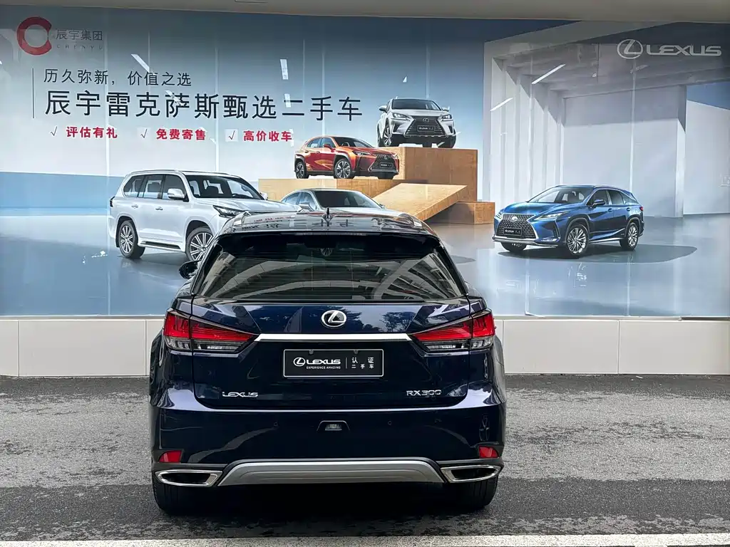Lexus RX 300 2 WD Elite CN-VI