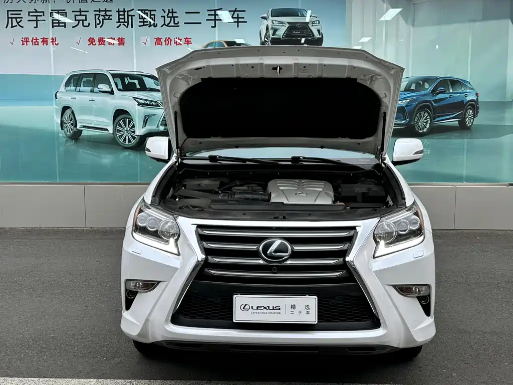 Lexus GX 400 Distinguished