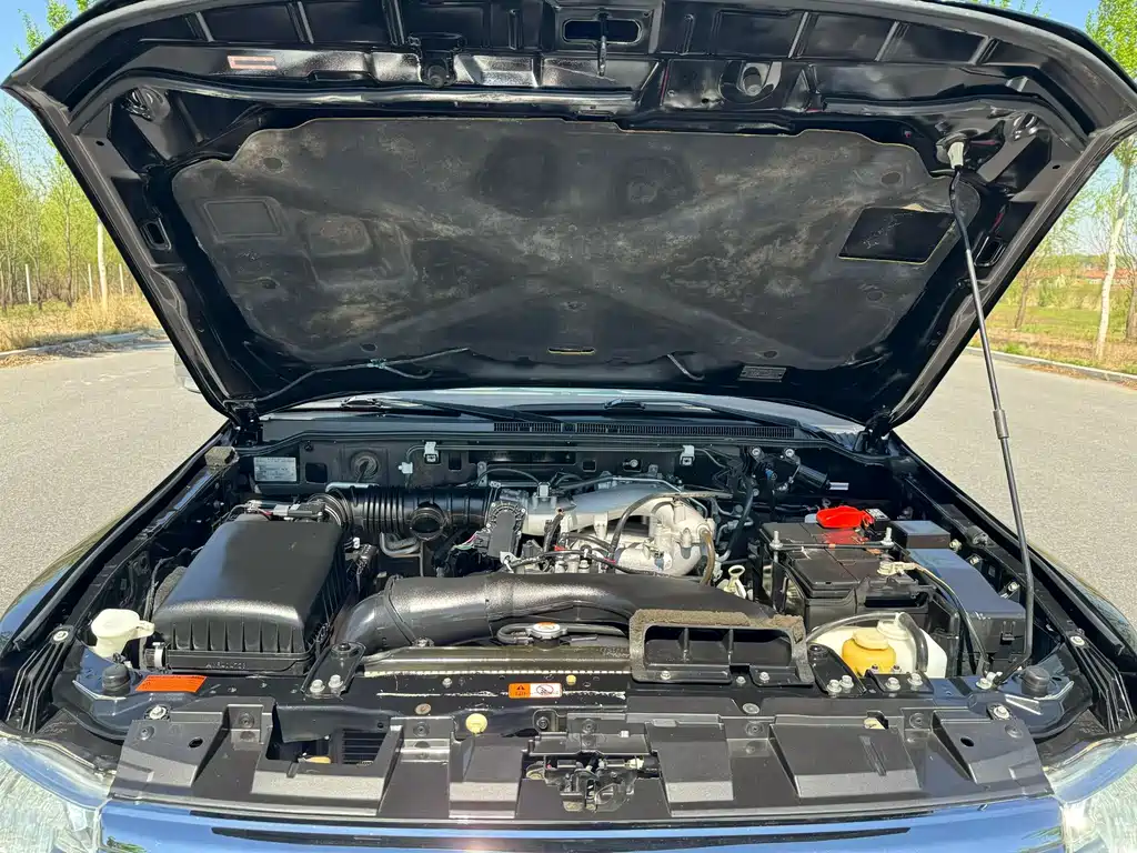Pajero (Import) 3.0 L Auto Distinguished CN-V