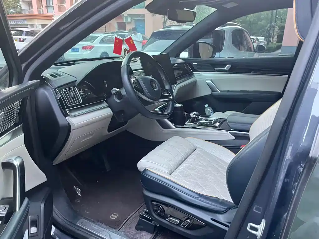 Tang NEV DM-p 215 KM 4 WD Flagship