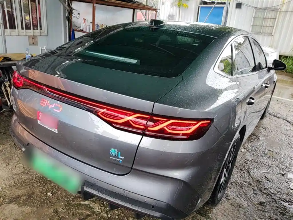 Qin L DM-i Smart Drive 80 KM Transcend