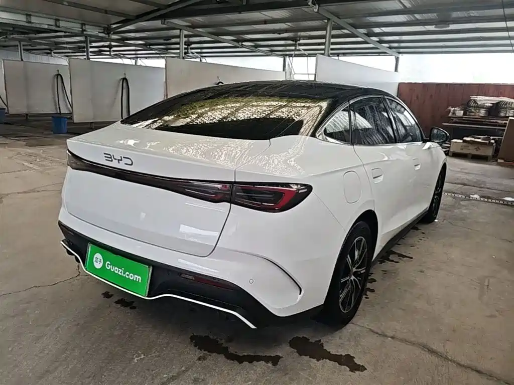 Seal 06 DM-i 80 KM Distinguished