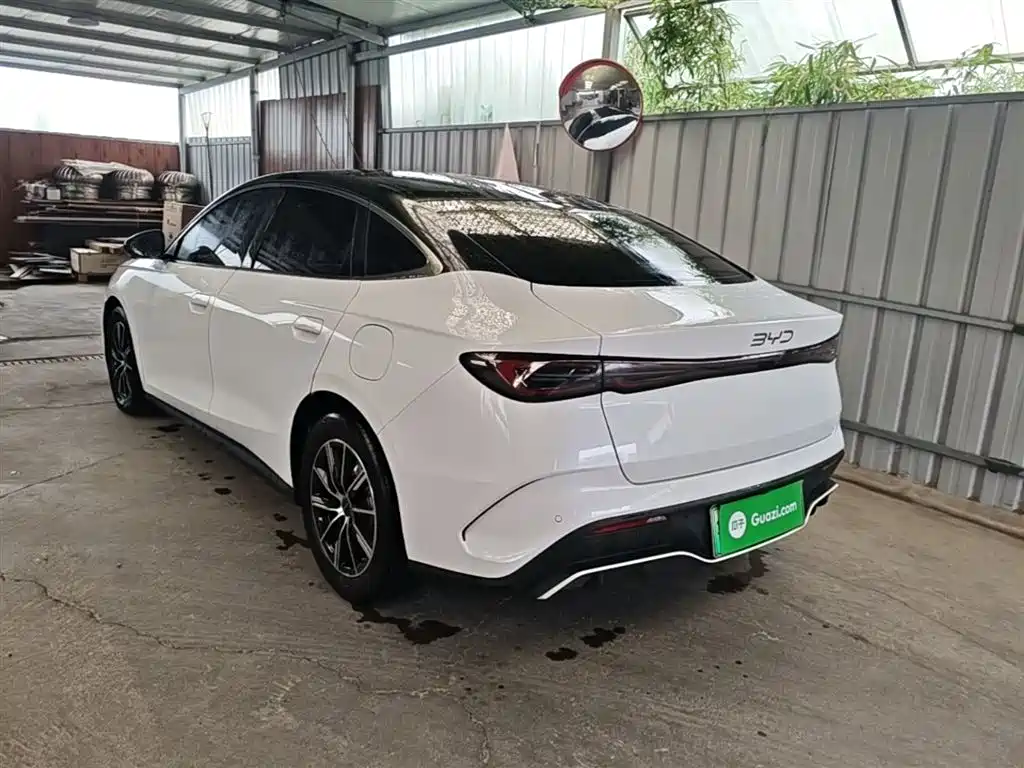 Seal 06 DM-i 80 KM Distinguished