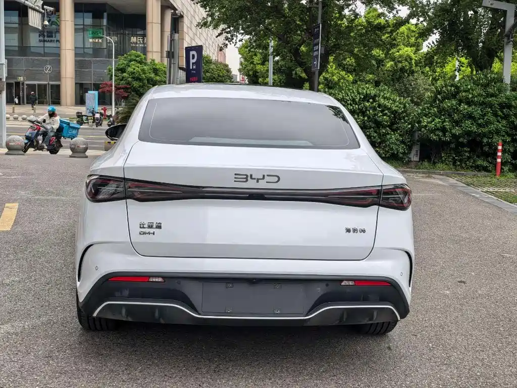 Seal 06 DM-i 120 KM Premium