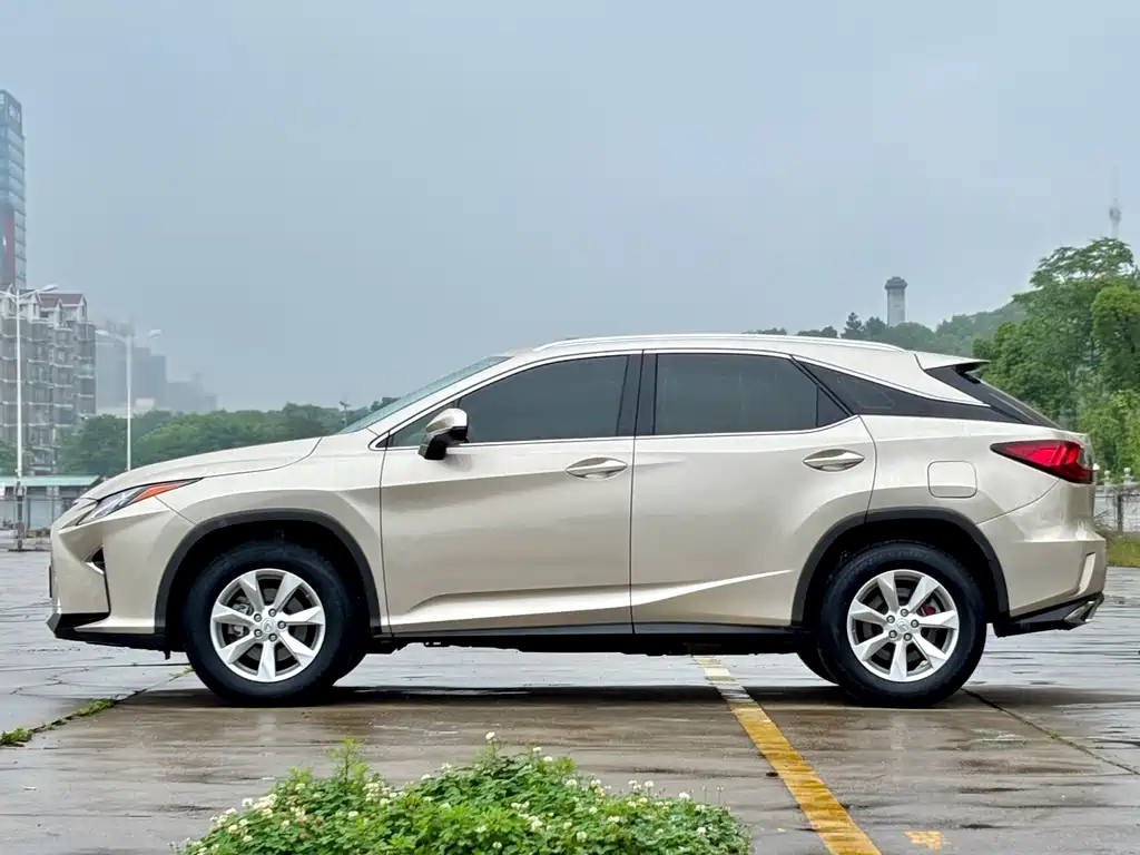 Lexus RX 300 2 WD Elite CN-V