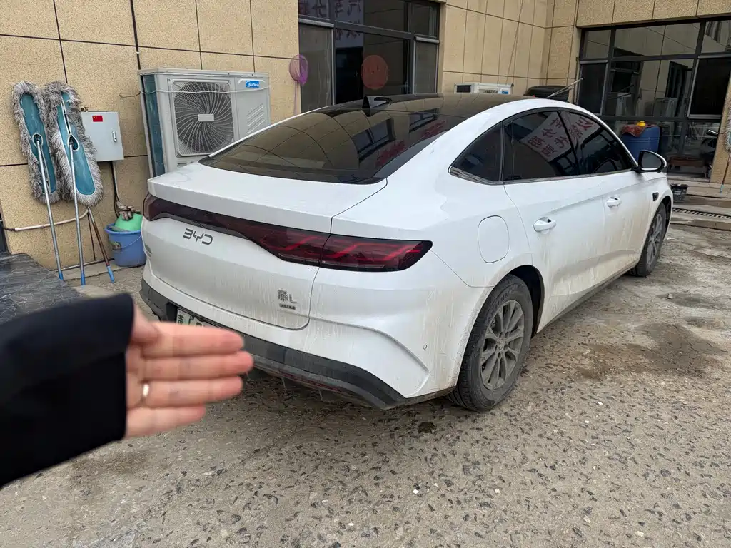 Qin L DM-i Smart Drive 80 KM Leading