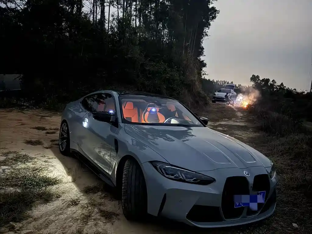 BMW M4 M4 2-door Coupe Thunder