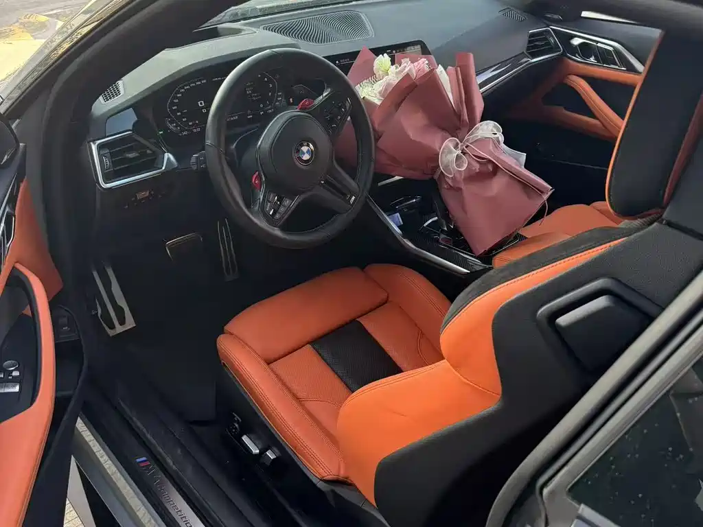 BMW M4 M4 2-door Coupe Thunder