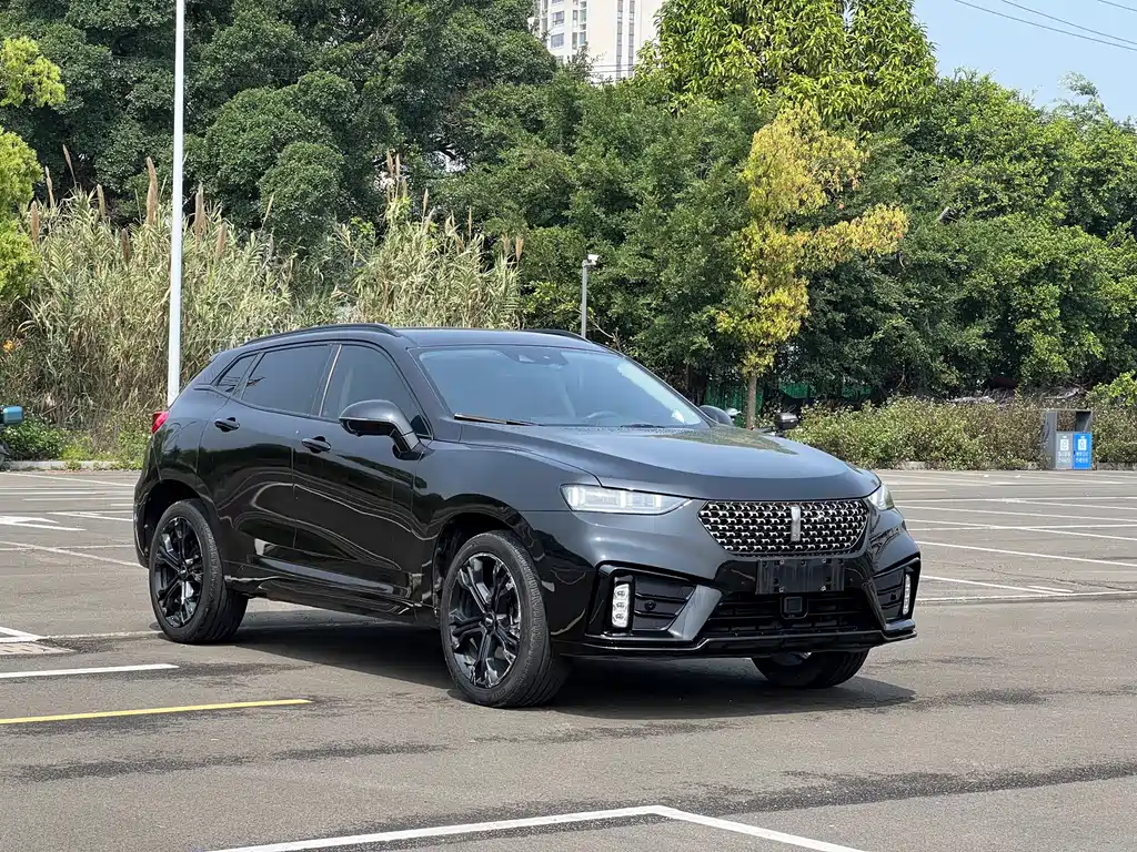 WEY VV7 2.0 T Flagship