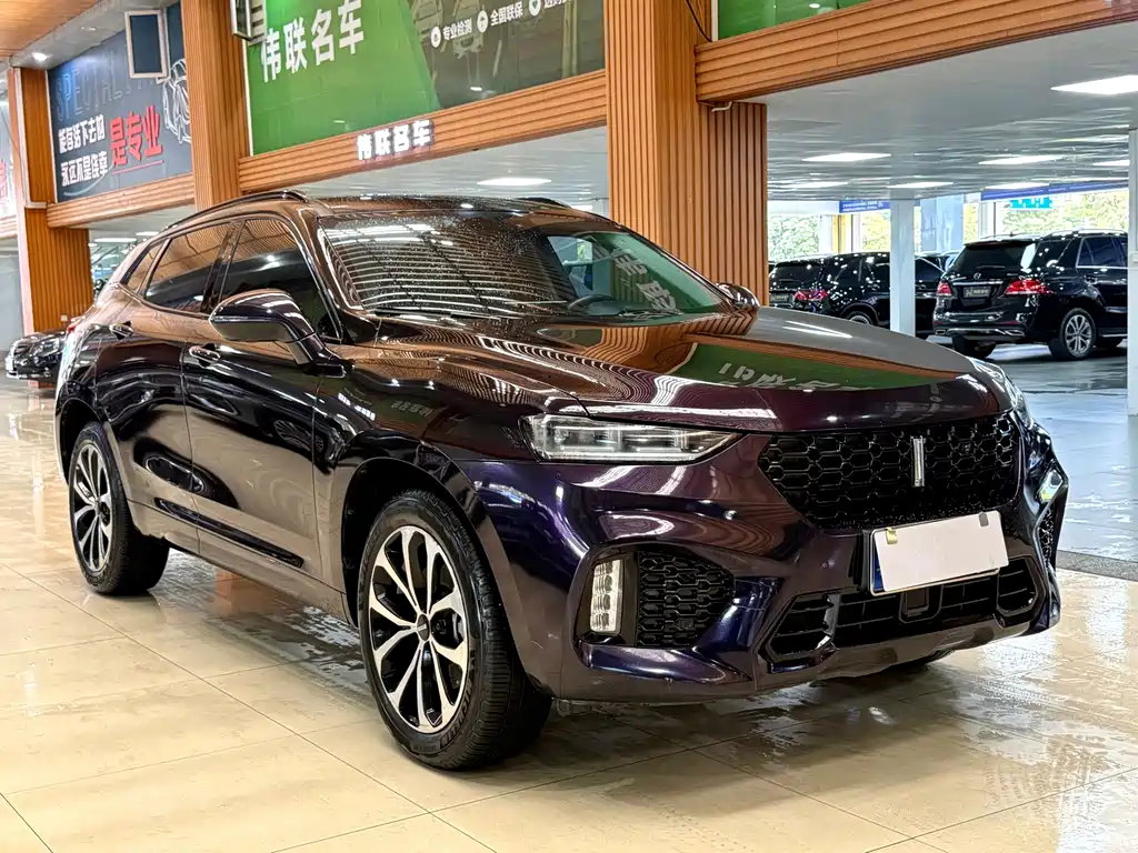 WEY VV7 2.0 T Super Luxury