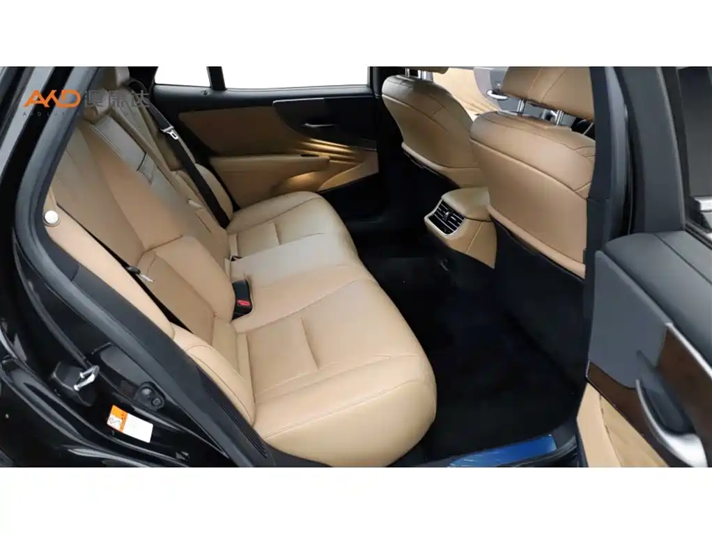 Lexus LS 雷克萨斯LS500 h/3.5/21款/卓越版