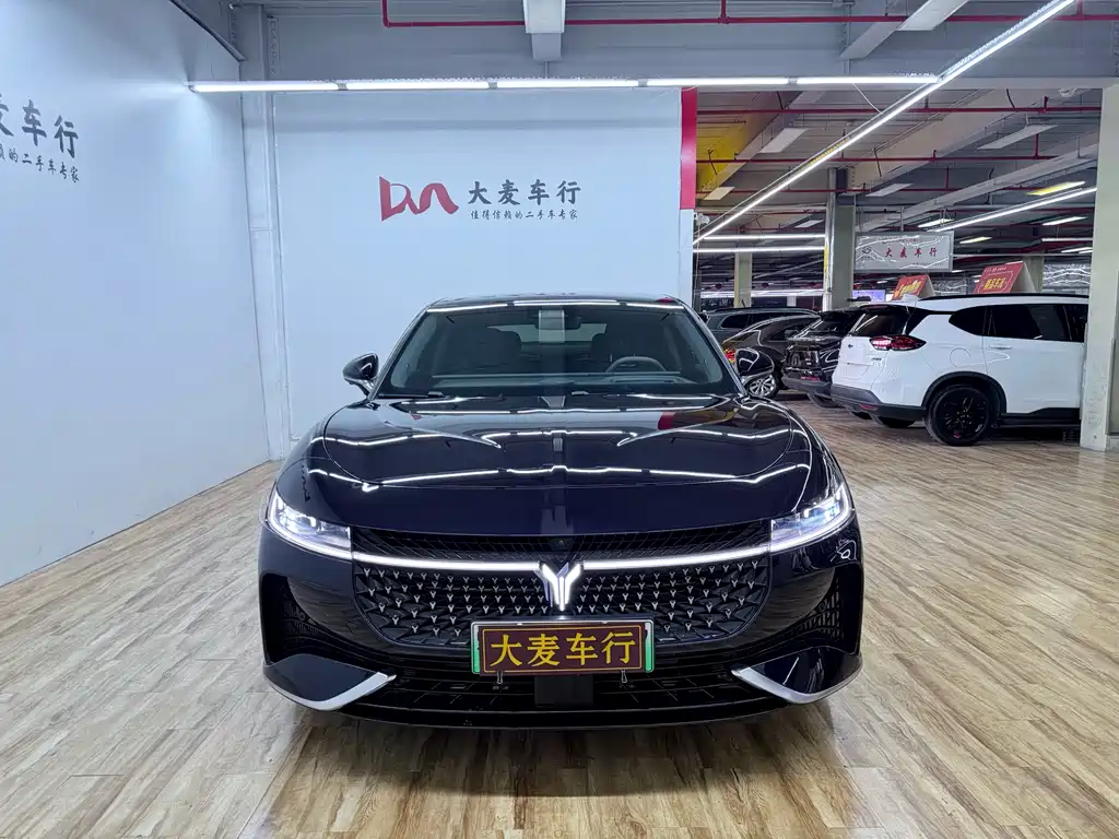 Voyah Zhuiguang PHEV 4 WD Ultra Long Range Flagship