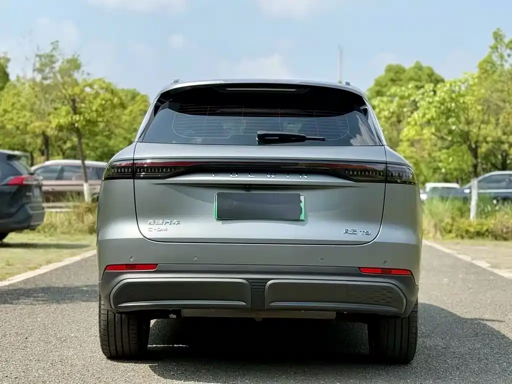 Fengyun T9 120 Long Range Flagship 7-seat LFP
