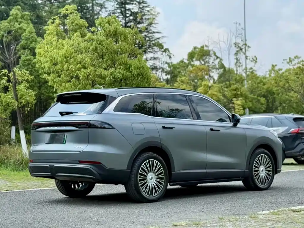 Fengyun T9 120 Long Range Flagship 7-seat LFP