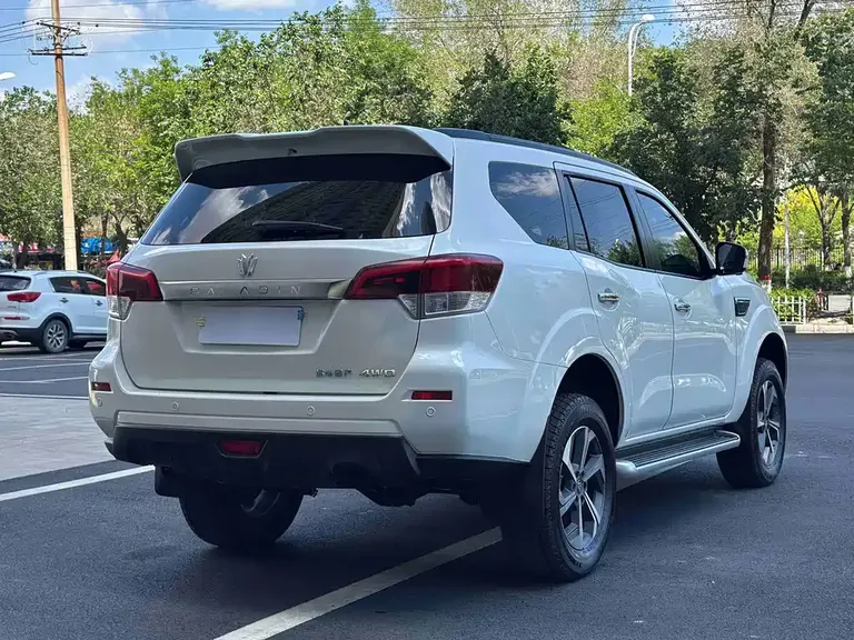 Dongfeng 帕拉丁 帕拉丁 2024款 2.0 T 四驱臻享版