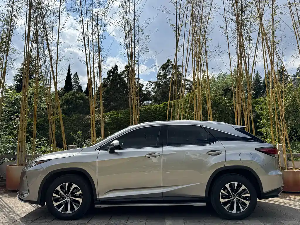 Lexus RX Facelift 300 2 WD Elite