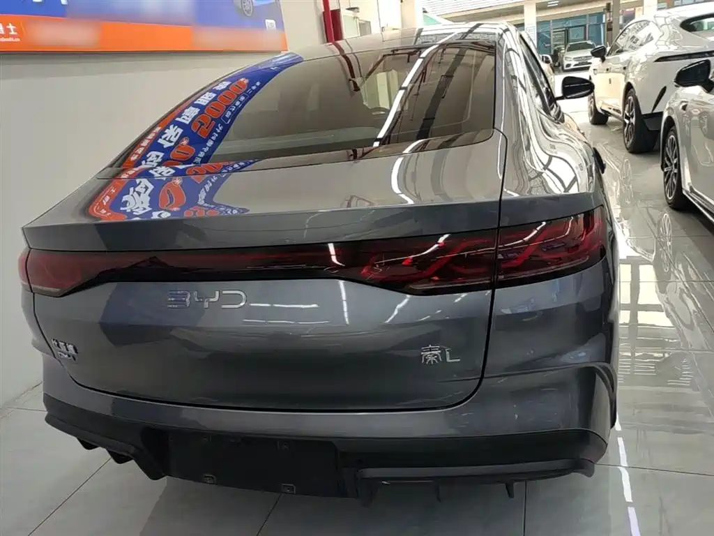 Qin L DM-i 120 KM Transcend