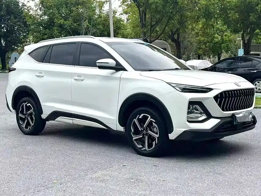 Sehol X8 思皓X8 2021款 改款 300 T DCT豪华智联版 6座
