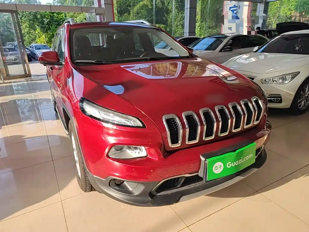 Cherokee 2.4 L Professional