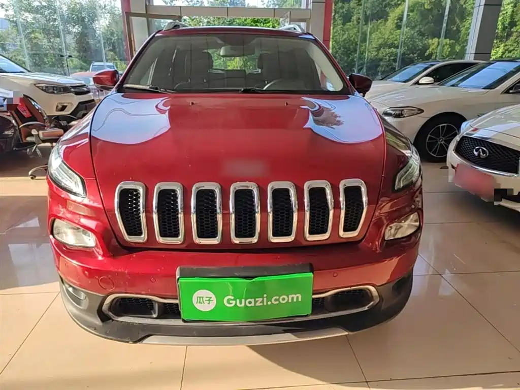 Cherokee 2.4 L Professional