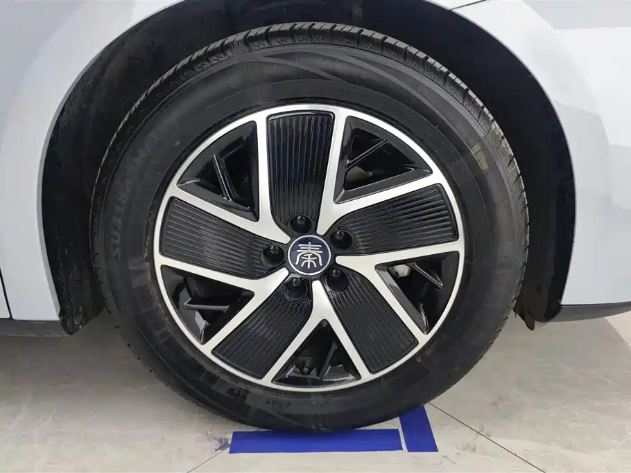 Qin L DM-i 80 KM Transcend