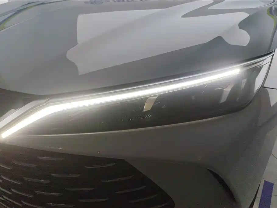 Qin L DM-i 80 KM Transcend