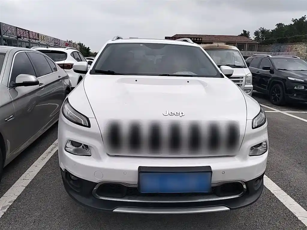 Cherokee 2.4 L Professional Intelligent
