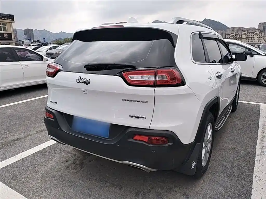 Cherokee 2.4 L Professional Intelligent