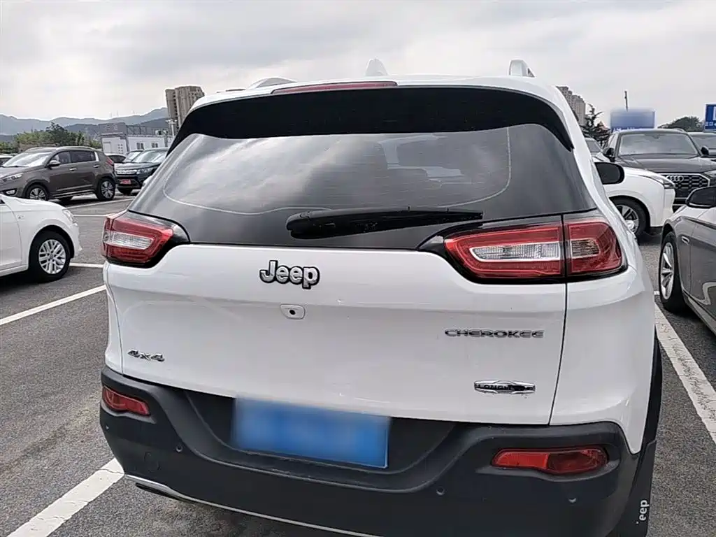 Cherokee 2.4 L Professional Intelligent
