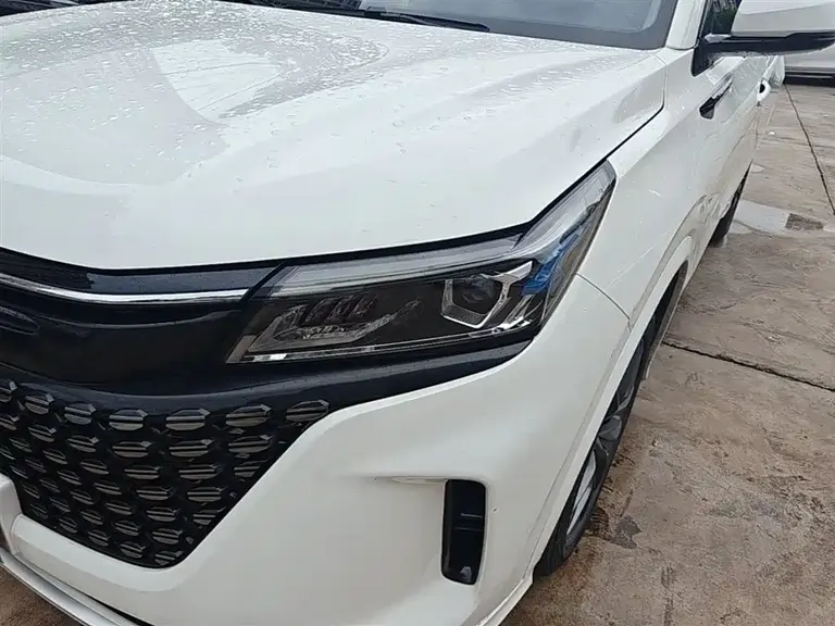 Landian E5 Glory 100 KM Premium 7-seat
