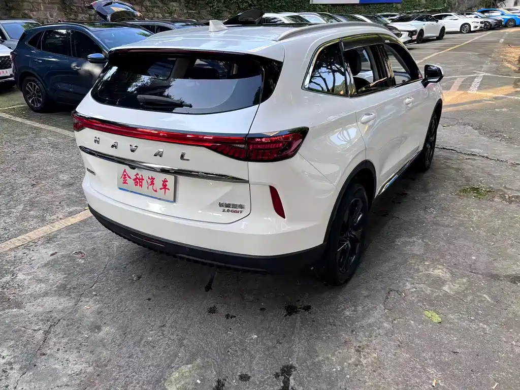 Haval H6 3 rd Gen 2.0 T Auto 4 WD Max