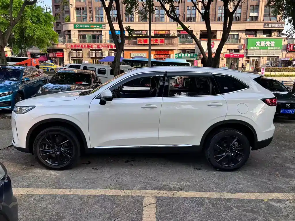 Haval H6 3 rd Gen 2.0 T Auto 4 WD Max