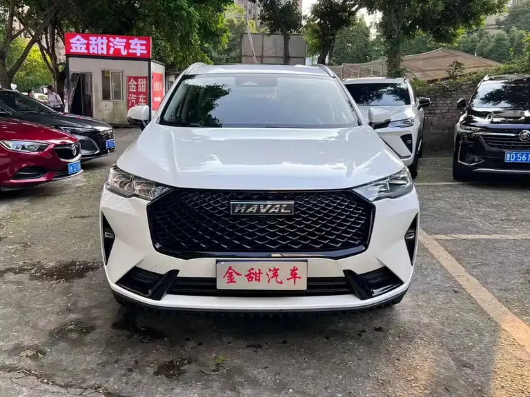 Haval H6 3 rd Gen 2.0 T Auto 4 WD Max