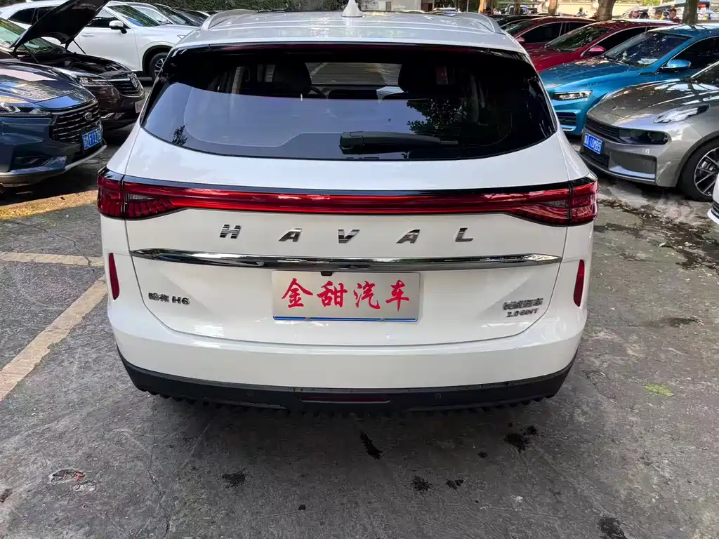 Haval H6 3 rd Gen 2.0 T Auto 4 WD Max