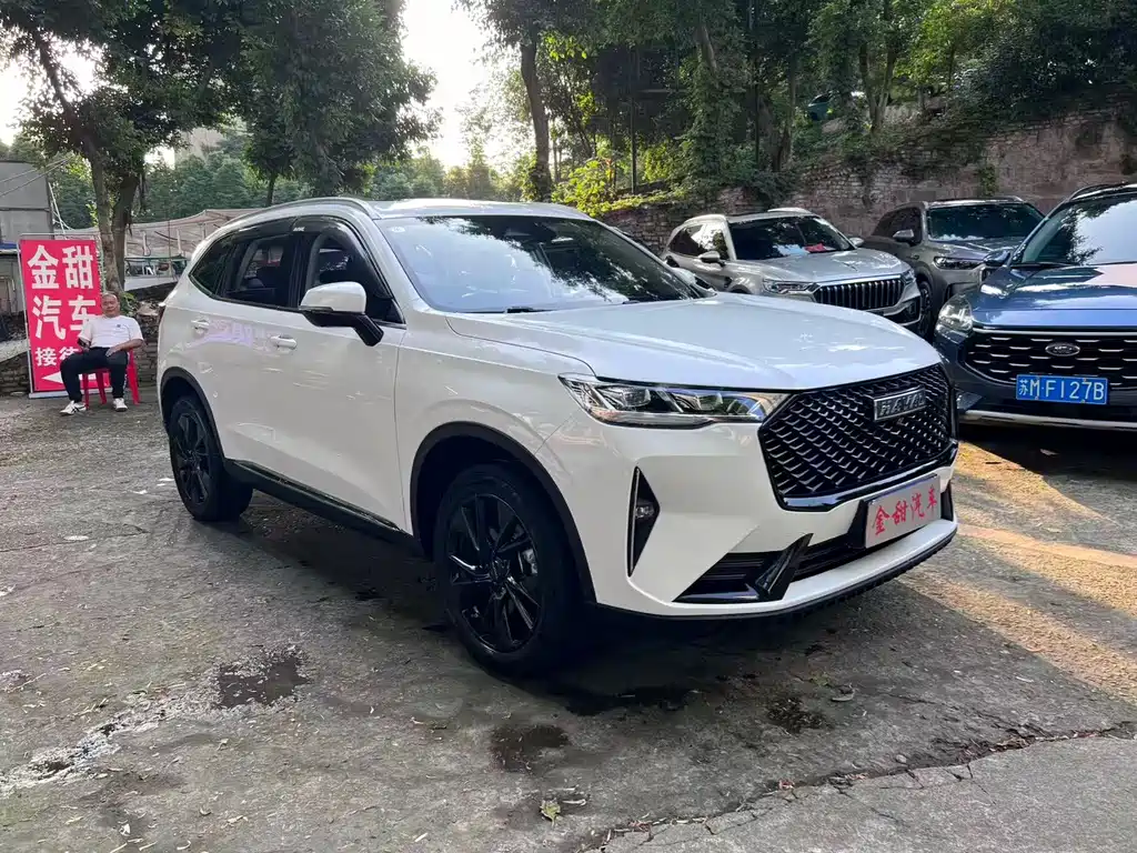 Haval H6 3 rd Gen 2.0 T Auto 4 WD Max