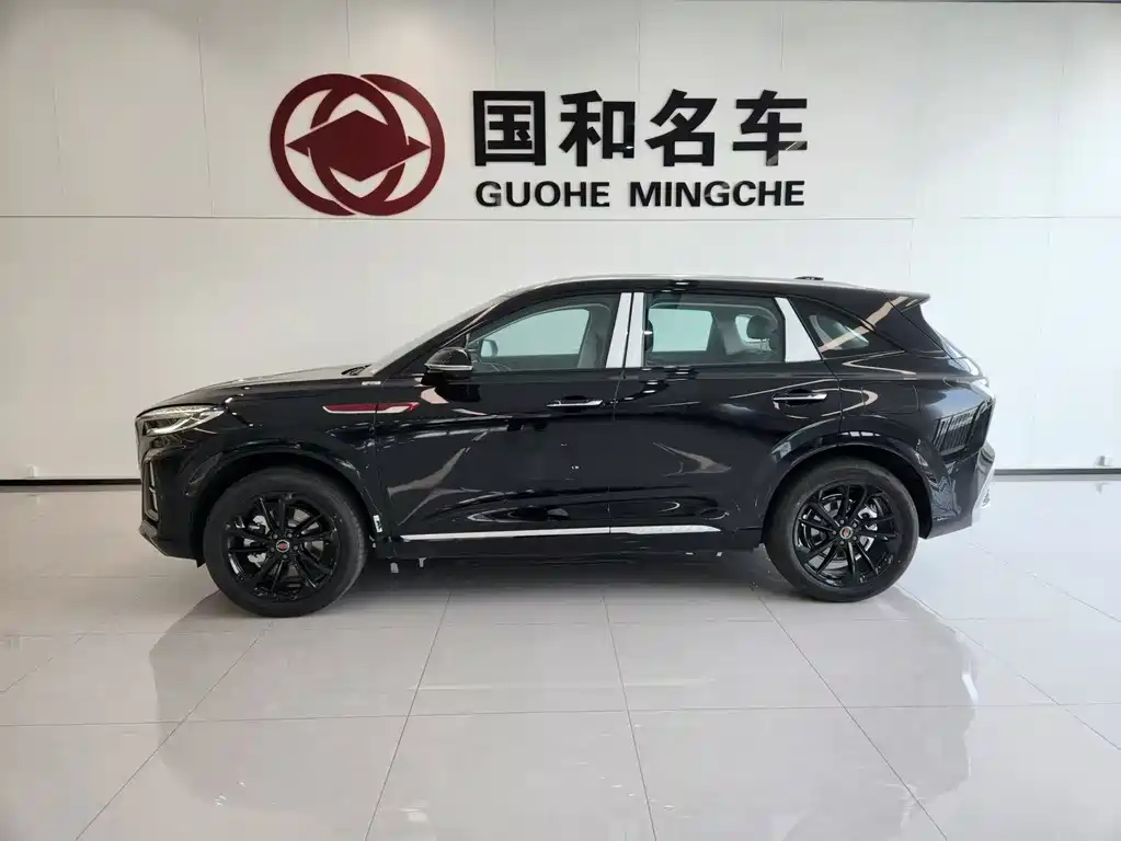 Hongqi HS3 PHEV 117 km Power Action PLUS