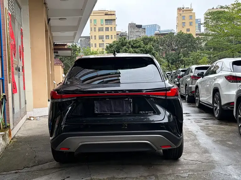 Lexus RX 300 4 WD Enjoyment