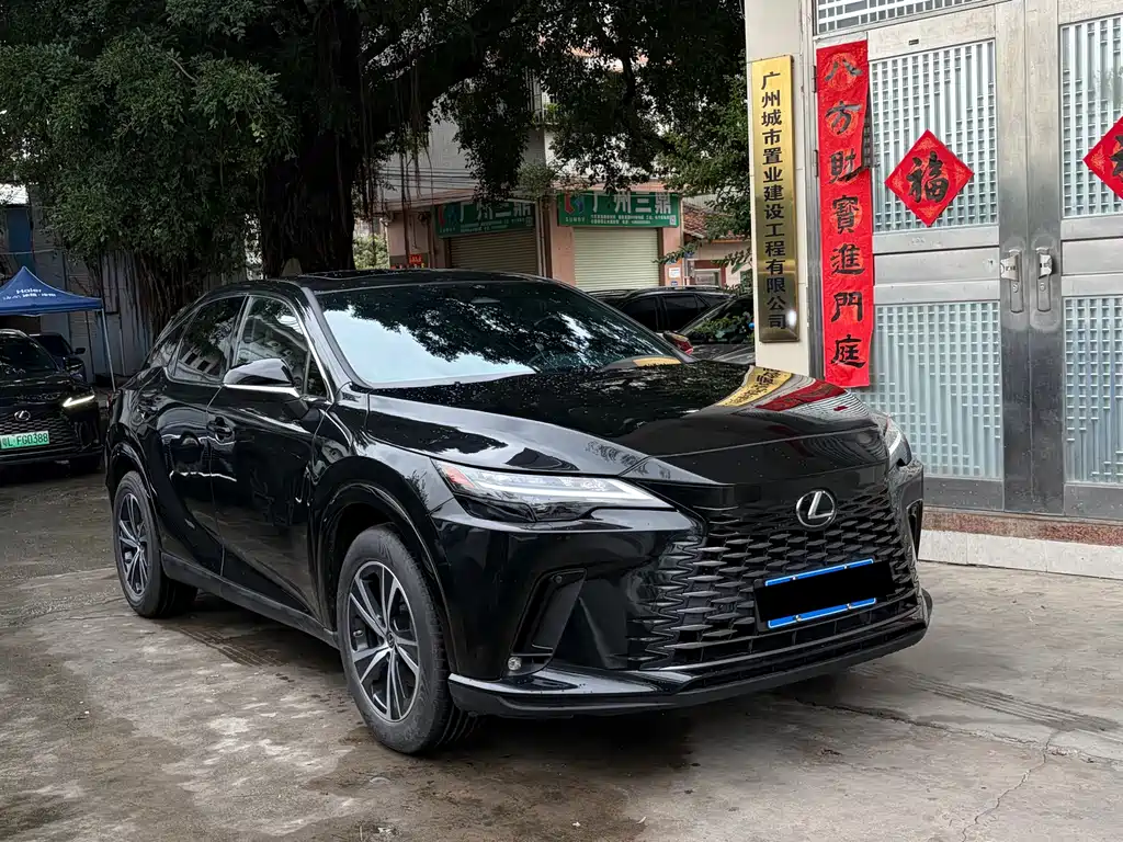 Lexus RX 300 4 WD Enjoyment