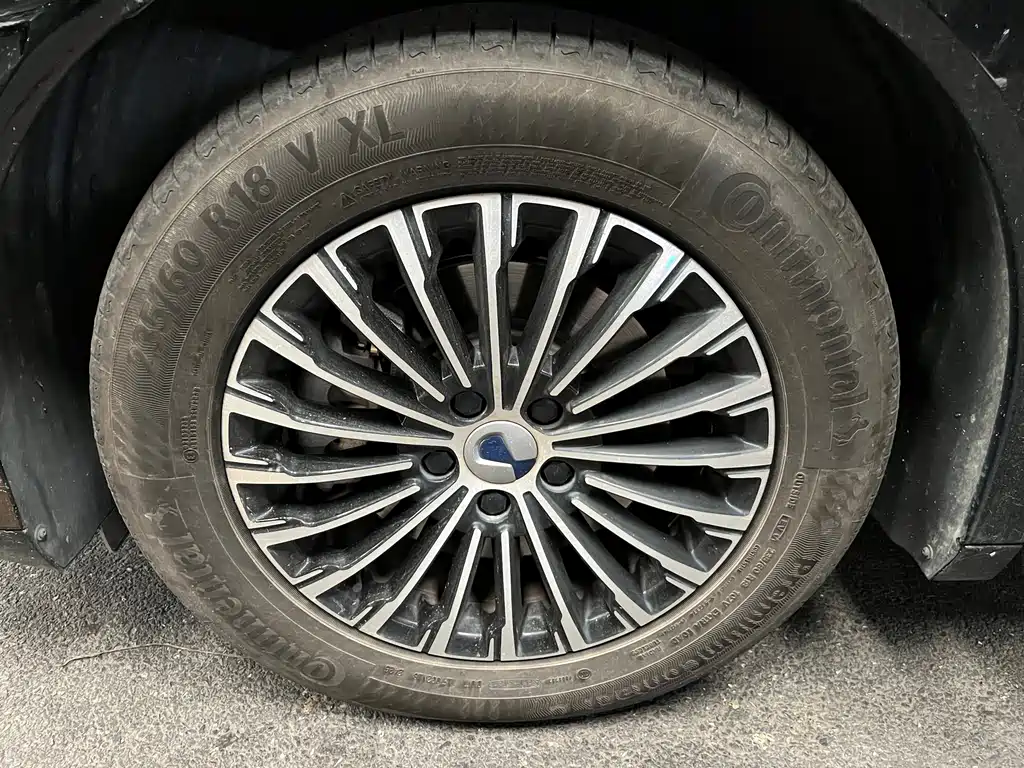 Denza D9 DM-i 970 4 WD Flagship