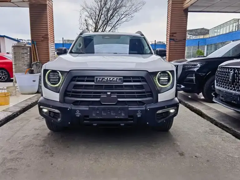 Haval Dargo 2.0 T DCT 4 WD Brilliance Country Dog Hunt