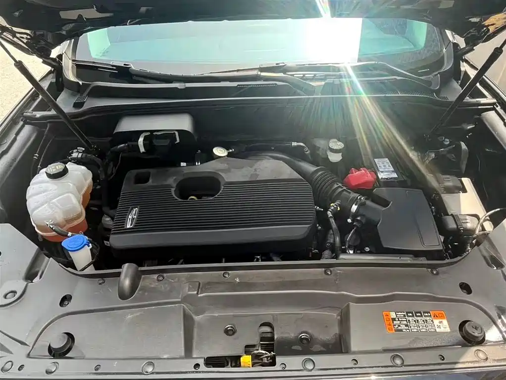 Nautilus 2.0 T 4 WD Premium