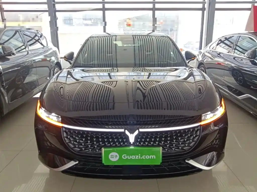 Voyah Zhuiguang PHEV 4 WD Ultra Long Range Flagship