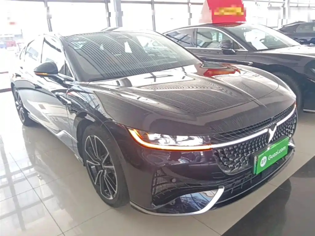 Voyah Zhuiguang PHEV 4 WD Ultra Long Range Flagship